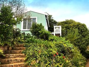 a green house with a chair sitting on top of stairs at Martin's Cottage in Great Brak River +3 photos