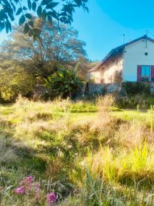a field of grass with a house in the background at Pannonica charmante maison champêtre in Montagny-sur-Grosne +25 photos