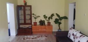 a living room with potted plants on the wall at City Apartment in Târgu Ocna