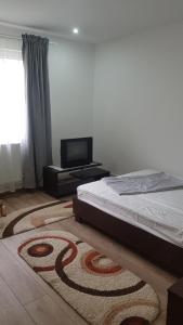 a bedroom with a bed and a flat screen tv at City Apartment in Târgu Ocna