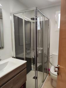 a bathroom with a shower and a toilet at Apartamentos Go Buenavista- Tordesillas in Tordesillas +9 photos