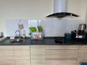 a kitchen with a sink and a counter top at Evo Green Tea 25 with Netflix in Bandar Baru Bangi +6 photos