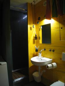 ein Bad mit einem Waschbecken, einer Dusche und einem WC in der Unterkunft Bad Chaka Apartment in Bovec