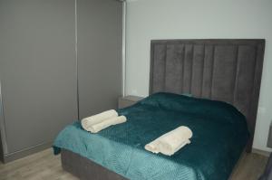 Photo de la galerie de l'établissement Bulqiza Center Apartment, à Bulqizë 3 autres photos