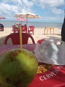 a green coconut sitting on a table on the beach at Casa 1 quarto amarela praia Cabuçu,Saubara in Saubara
