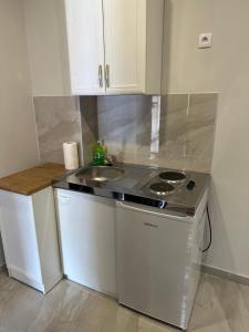 Kuchyň nebo kuchyňský kout v ubytování Fenix Apartments