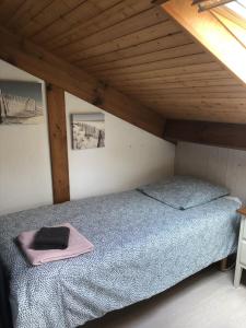 ein Bett in einem Zimmer mit Holzdecke in der Unterkunft Villa OCELANDES in Saint-Julien-en-Born + 15 Fotos