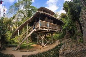 Zahrada ubytování Chole Mjini Treehouses Lodge