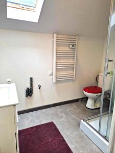 Razac-sur-lʼIsleにある11 - Très joli 2 pièces climatisé tout équipé pour 1 à 5 personnes, avec 3 lits, vue sur parc arboré, parking privatif gratuit, grand fourgon possible, tout le linge de maison est fourniのトイレとシャワー室を備えたバスルーム