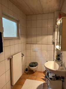 a bathroom with a toilet and a sink at Monteurwohnung-Ferienwohnung Aalen Westhausen in Westhausen