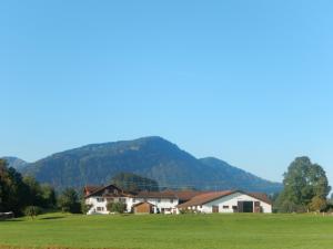 una casa en un campo con montañas al fondo en Ferienhof Haslach, en Immenstadt im Allgäu