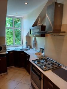 ソポトにあるApartament na poddaszuのシンクとコンロのあるキッチン トップオーブン