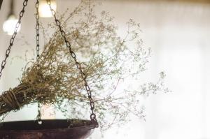 Foto dalla galleria di Dunaparti Vendégház a Szigethalom