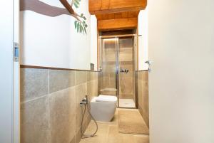 a bathroom with a toilet and a shower at Baita Bihj - Villaggio dei Crodini in Crodo +8 photos