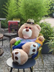 a teddy bear sitting in a chair with sunglasses at Brit Hotel Reims Croix Blandin in Reims