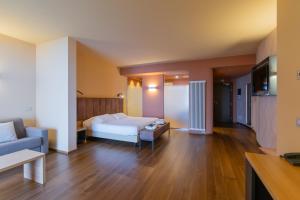 TV a/nebo společenská místnost v ubytování Hotel Belvedere Wellness&SPA