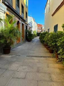 Une allée dans une ville avec des plantes et des bâtiments dans l'établissement Apartamento LAS FLORES, à Puerto de la Cruz