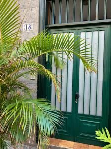 une porte verte avec un palmier devant dans l'établissement Apartamento LAS FLORES, à Puerto de la Cruz 6 autres photos