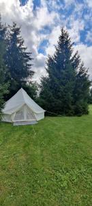 a white tent in a field with trees at Päikesekivi Keskus in Ridaküla