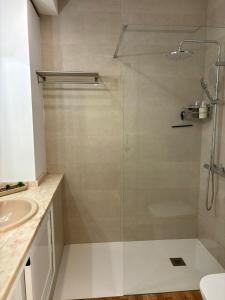 une douche avec une porte vitrée dans une salle de bain dans l'établissement Apartamento LAS FLORES, à Puerto de la Cruz