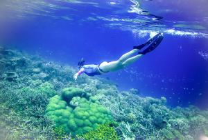 a person swimming in the ocean near a coral reef at VidFauw Oasis Villa in Naamlong