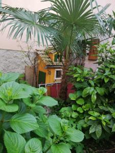 Ogród w obiekcie Guesthouse Kuća na šterne