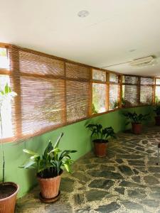 a room with potted plants on a wall with windows at Shangrila Fairymeadows Inn in Tato
