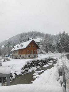 Haus Almblick v zimě