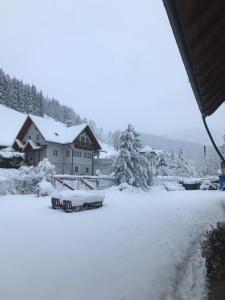 Haus Almblick v zimě