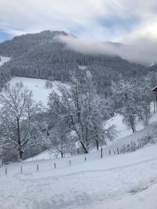 Haus Almblick v zimě