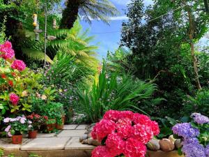 a garden with pink flowers and other plants at Funky Urban Jungle in Cardiff