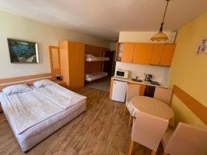 a small room with a bed and a kitchen at Royal Plaza Apartments Borovets in Borovets