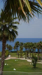 a palm tree in a park with the ocean in the background at Infinity Resort Tropea in Parghelia