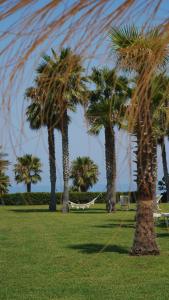 a group of palm trees in a park at Infinity Resort Tropea in Parghelia