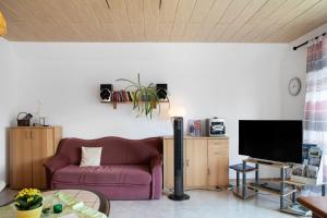 TV a/nebo společenská místnost v ubytování Ferienwohnung Vierheller