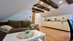 Kuchyňa alebo kuchynka v ubytovaní Apartamenty GOSZOWIANKA