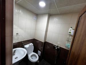 a small bathroom with a toilet and a sink at Villa Garden in Kremen +12 photos