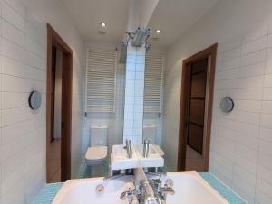 een badkamer met een wastafel en een toilet bij Midcentury modern, quiet, 40m studio with bath in Rīga +10 foto's