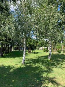 Gallery image of Family Hotel Perla in Lukovit