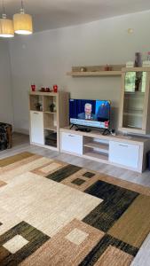 un salon avec une télévision à écran plat sur une table dans l'établissement Big Villa for a familly!!, à Hadžići