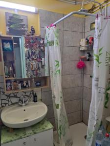 a bathroom with a sink and a shower at COLOCATION CITE URBAINE in Pointe-à-Pitre