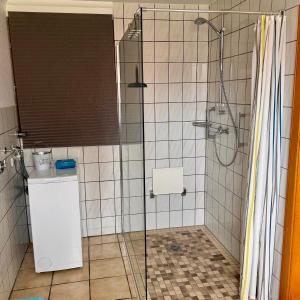 a shower with a glass door in a bathroom at Ferienwohnung Bohlen in Wehden