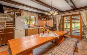 Kuchyň nebo kuchyňský kout v ubytování Stunning Home In Lukovdol With Sauna