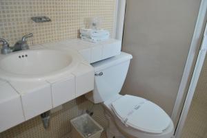 een badkamer met een wit toilet en een wastafel bij Hotel Posada Centenario in Ixmiquilpan