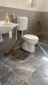 une salle de bain avec toilettes et lavabo dans l'établissement Big Villa for a familly!!, à Hadžići