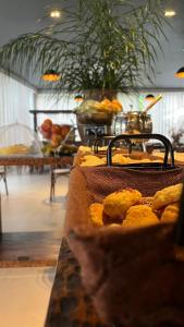 Gallery image of Villa Hotel in Rio Piracicaba