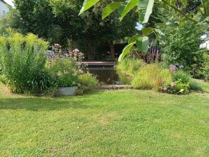 a garden with flowers and a pond in a yard at Villa Knoche in Arnsberg