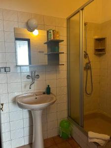 a bathroom with a sink and a shower at Diamant in Karlovy Vary