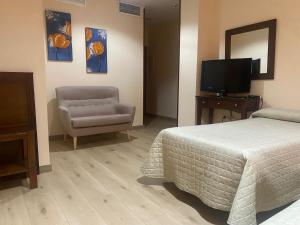 Televízia a/alebo spoločenská miestnosť v ubytovaní Hostal Carmen