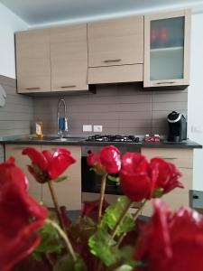 eine Küche mit roten Blumen vor einem Ofen in der Unterkunft SaKe' in Montemarciano + 42 Fotos